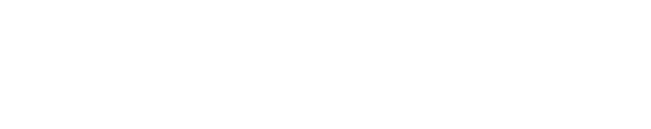 Blue-White AI Solutions
